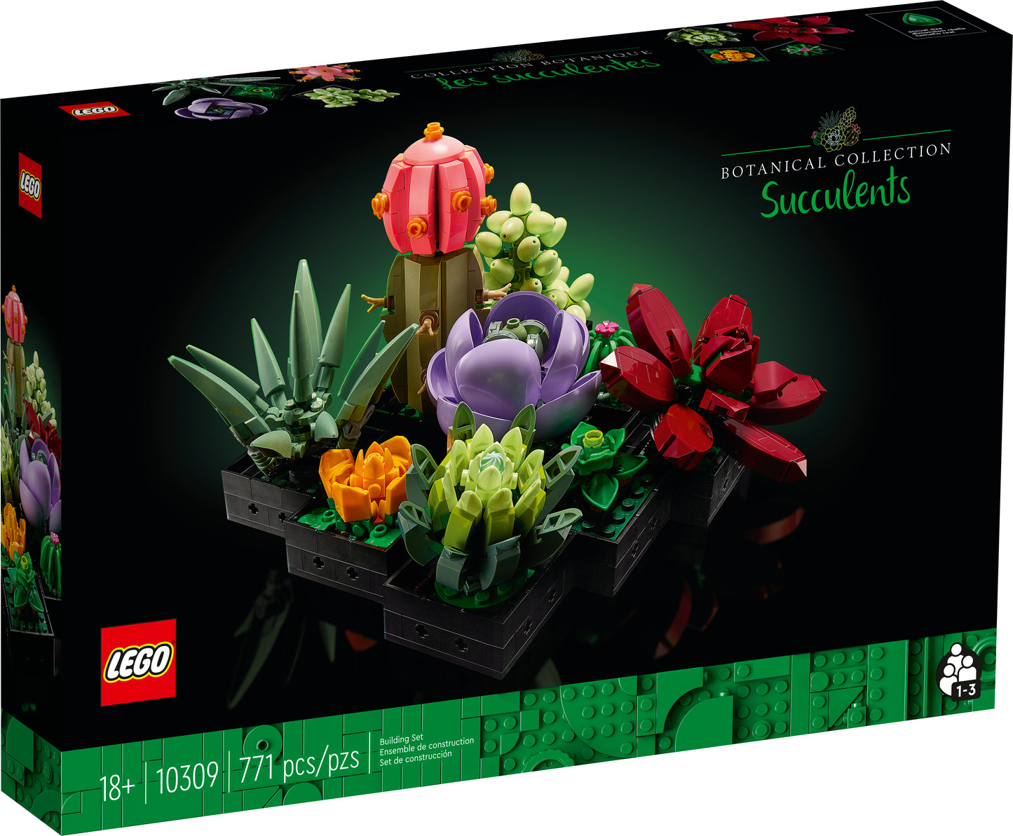 10309 - Succulents