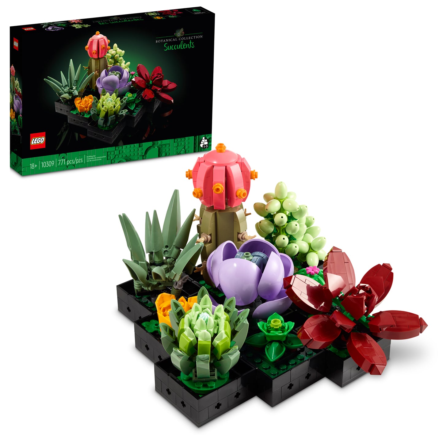 10309 - Succulents