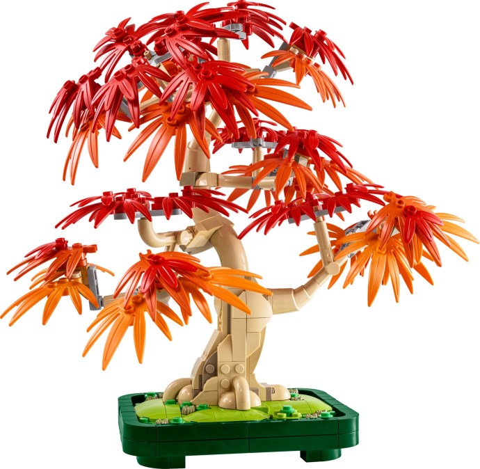 U10348 - Japanese Maple Tree