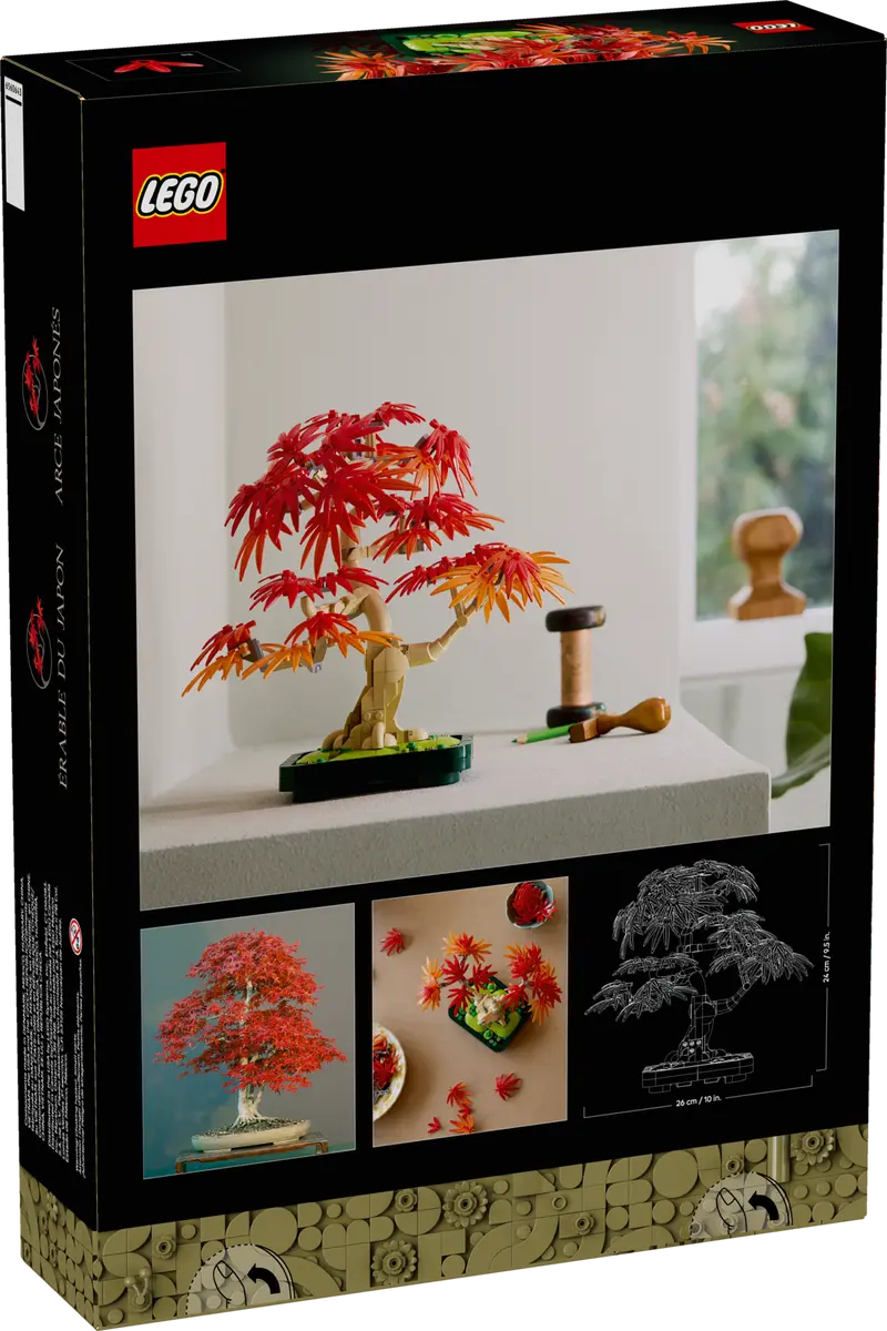 10348 - Japanese Red Maple Bonsai Tree - ND