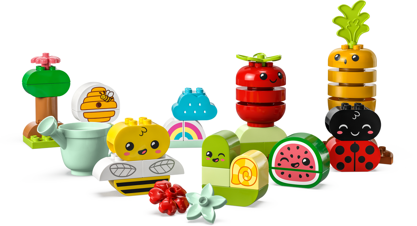 10984 - Organic Garden