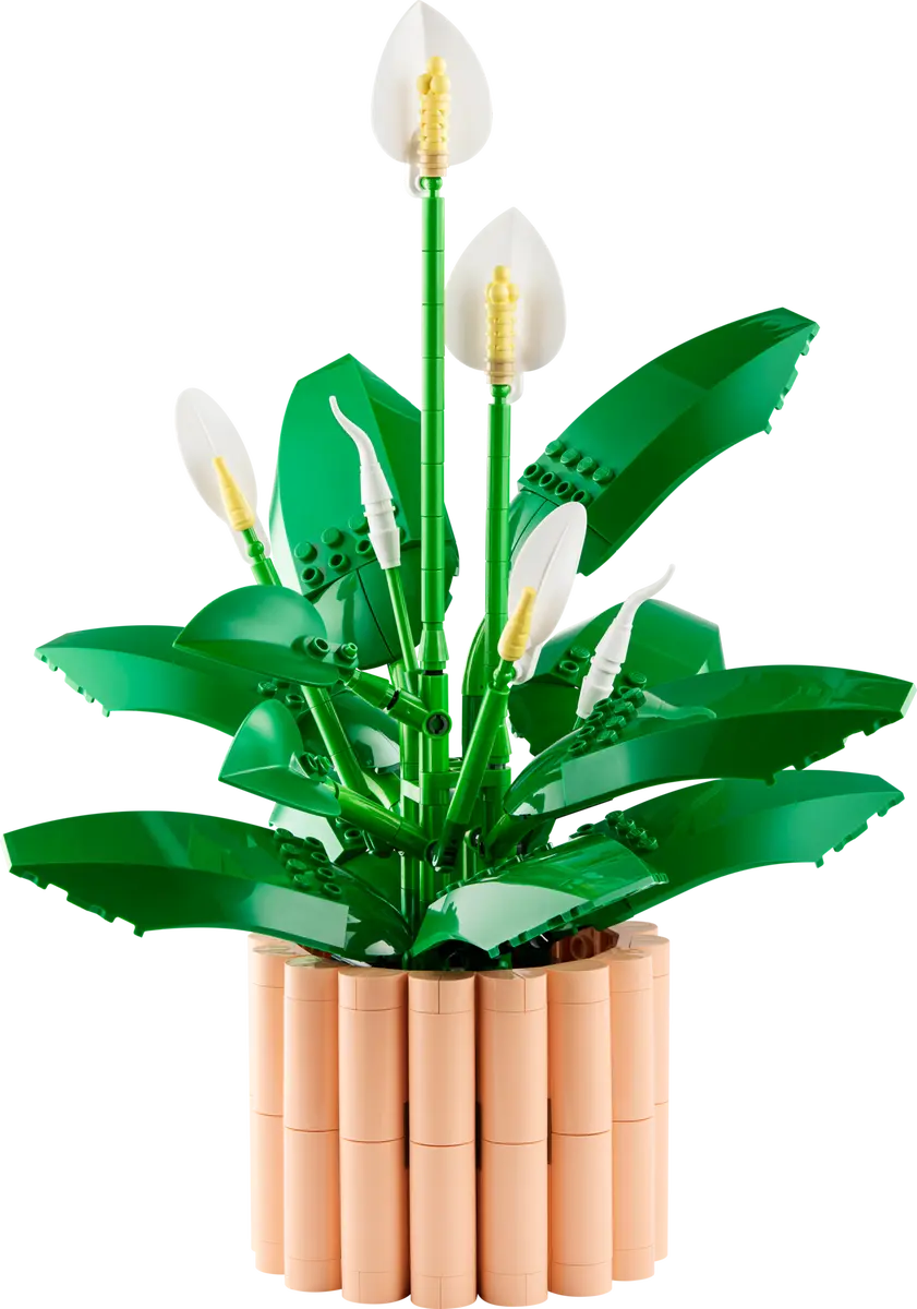 U11504 - Peace Lilly (Pre-Built)