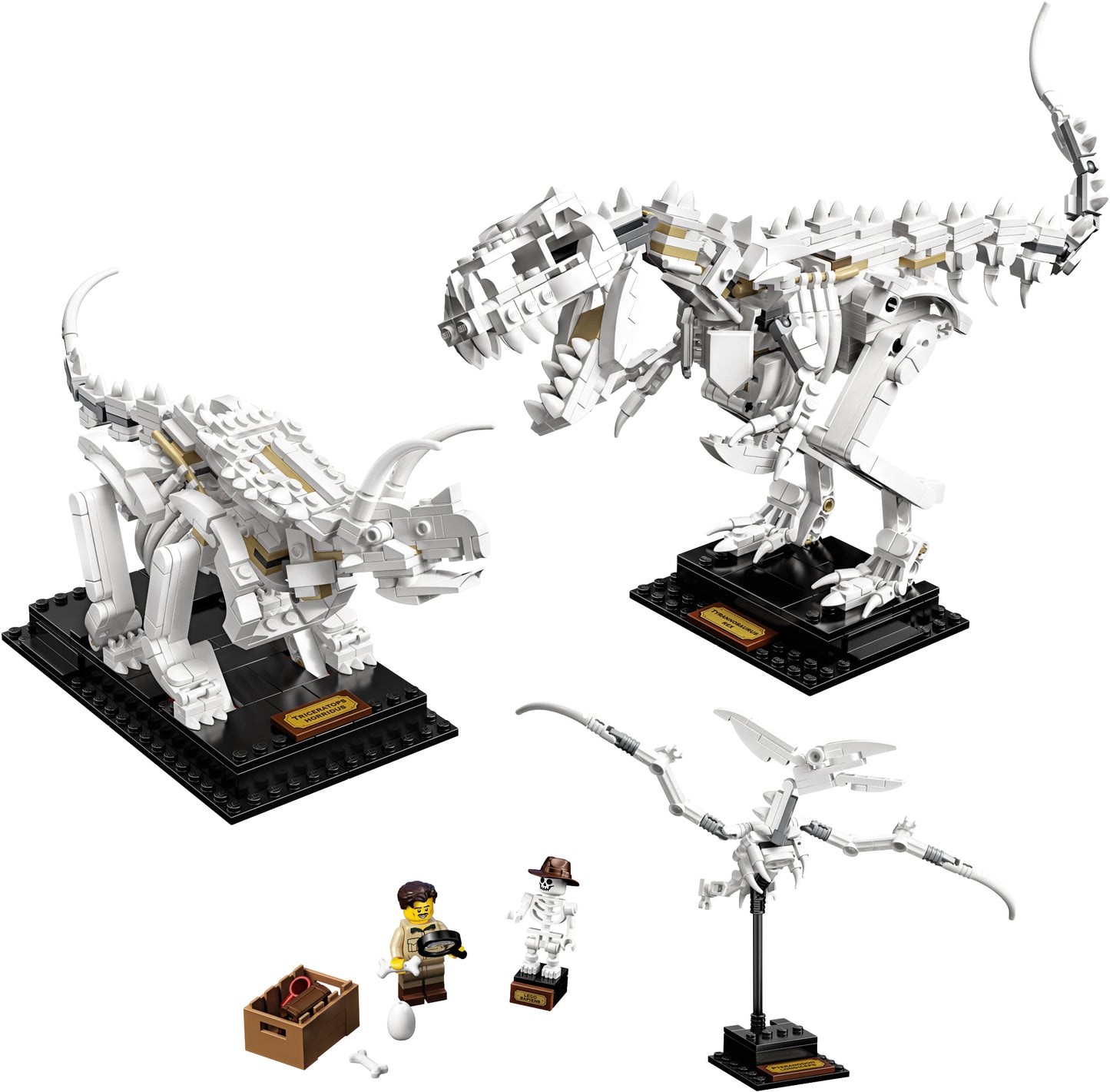 21320 - Dinosaur Fossils (Retired)