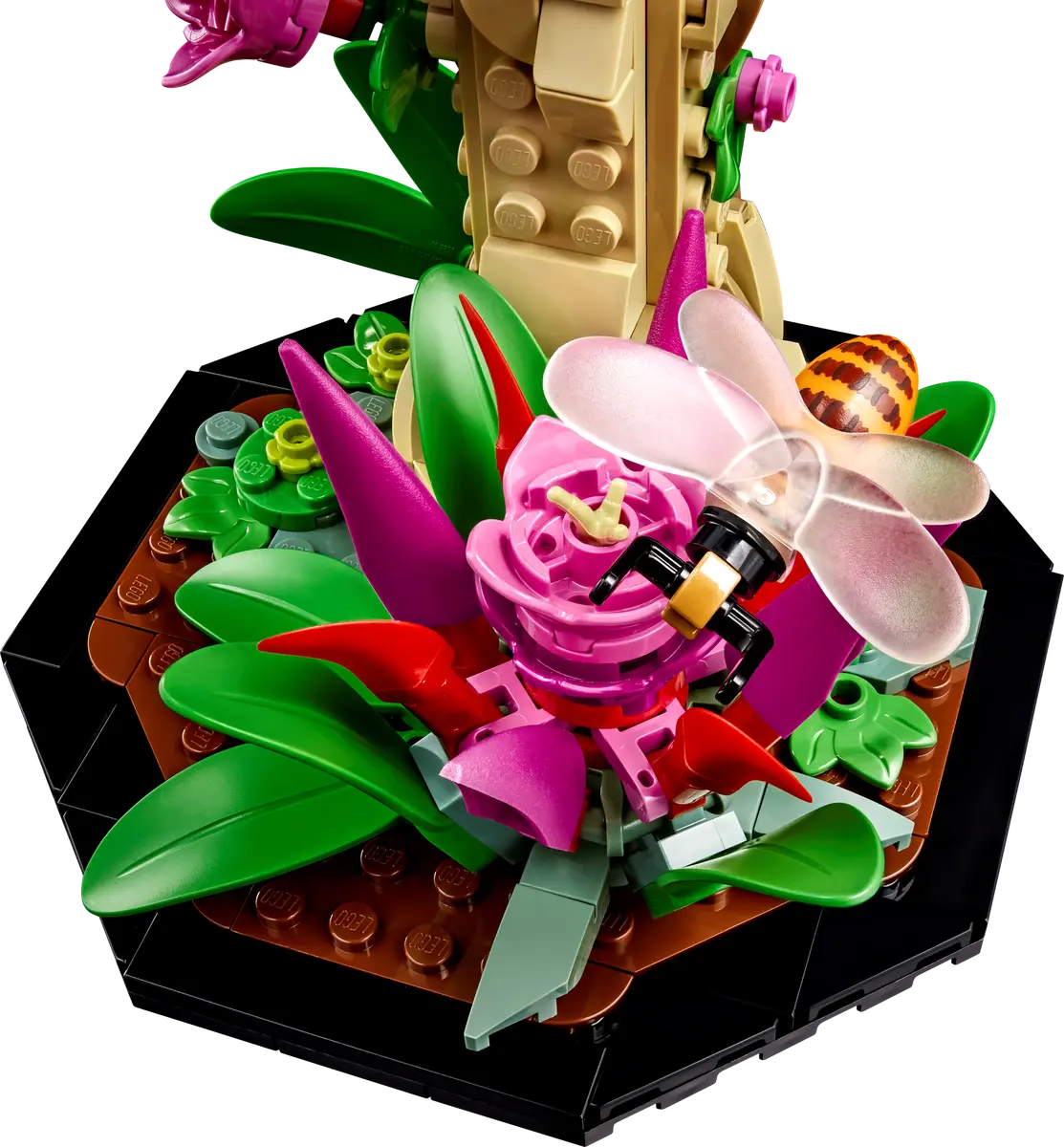 u21342 - The Insect Collection (Pre-Built)