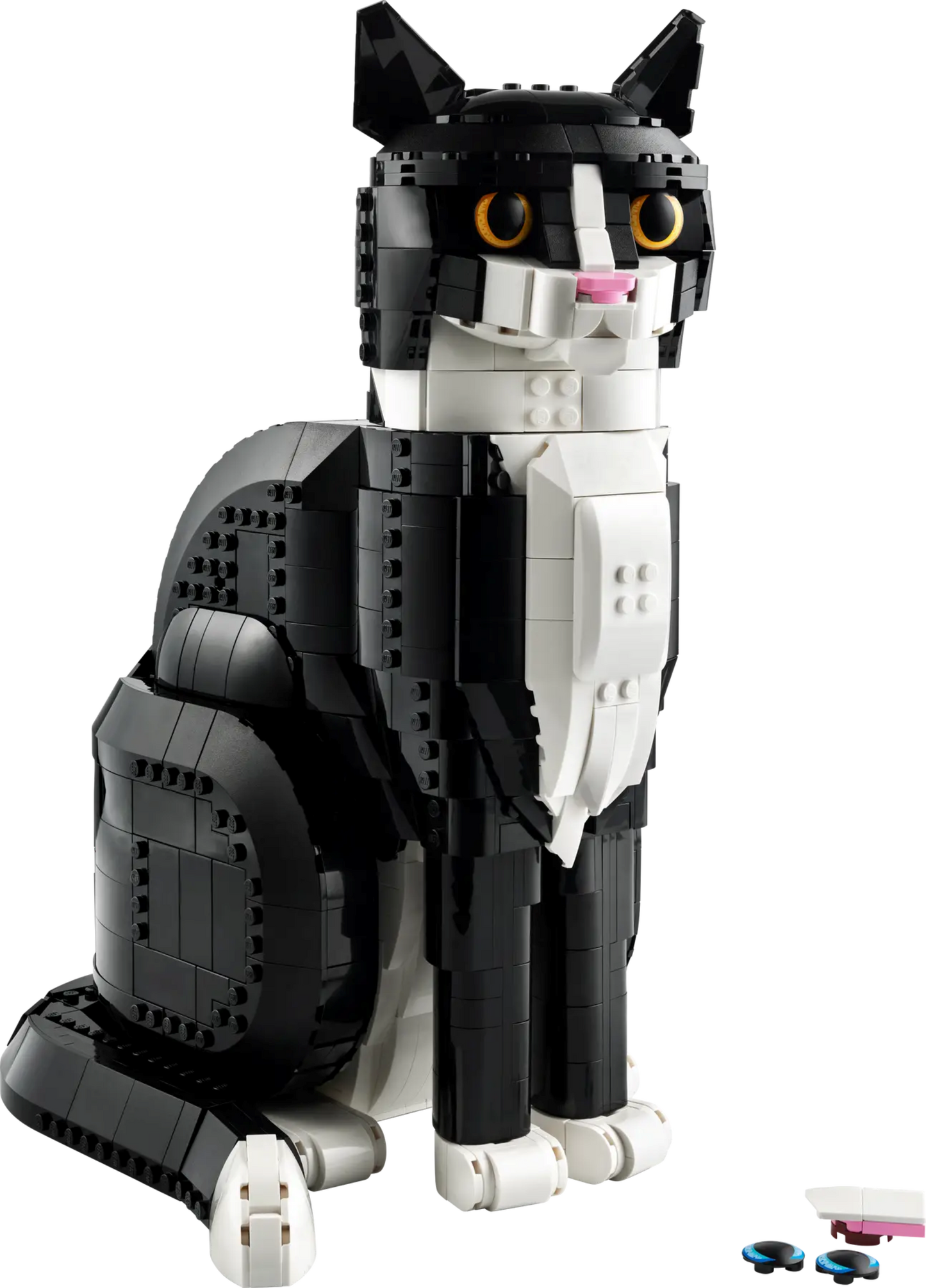 21349 - Tuxedo Cat - ND