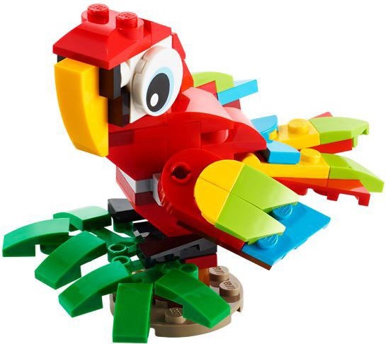 U30581 - Tropical Parrot
