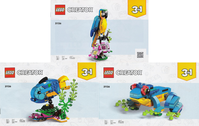 u31136 - Exotic Parrot