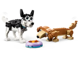 31137 - Adorable Dogs