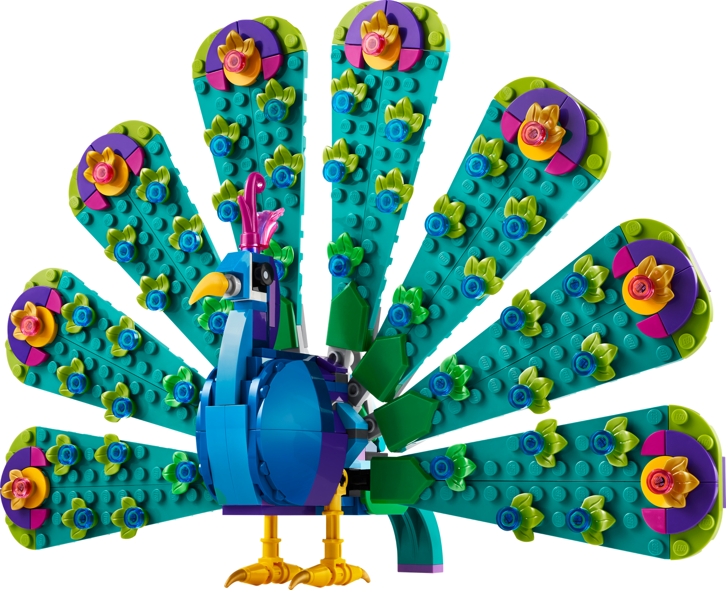 31157 - Exotic Peacock