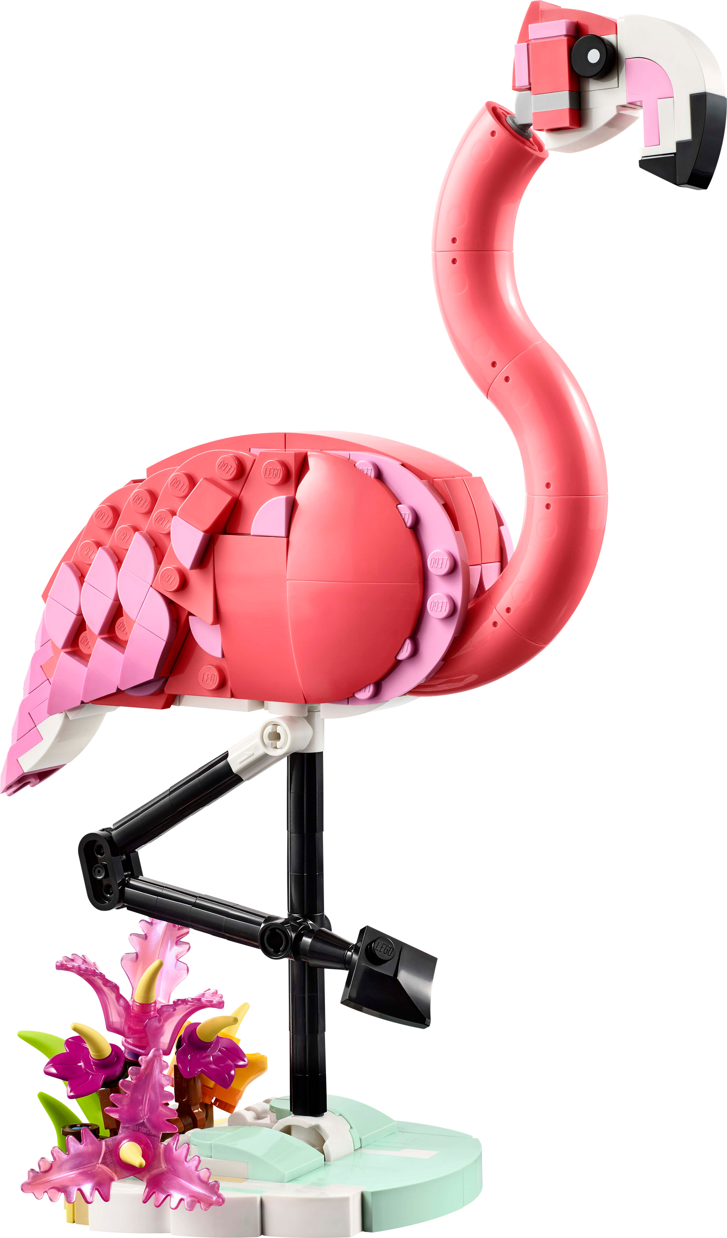 31170 - Pink Flamingo - ND
