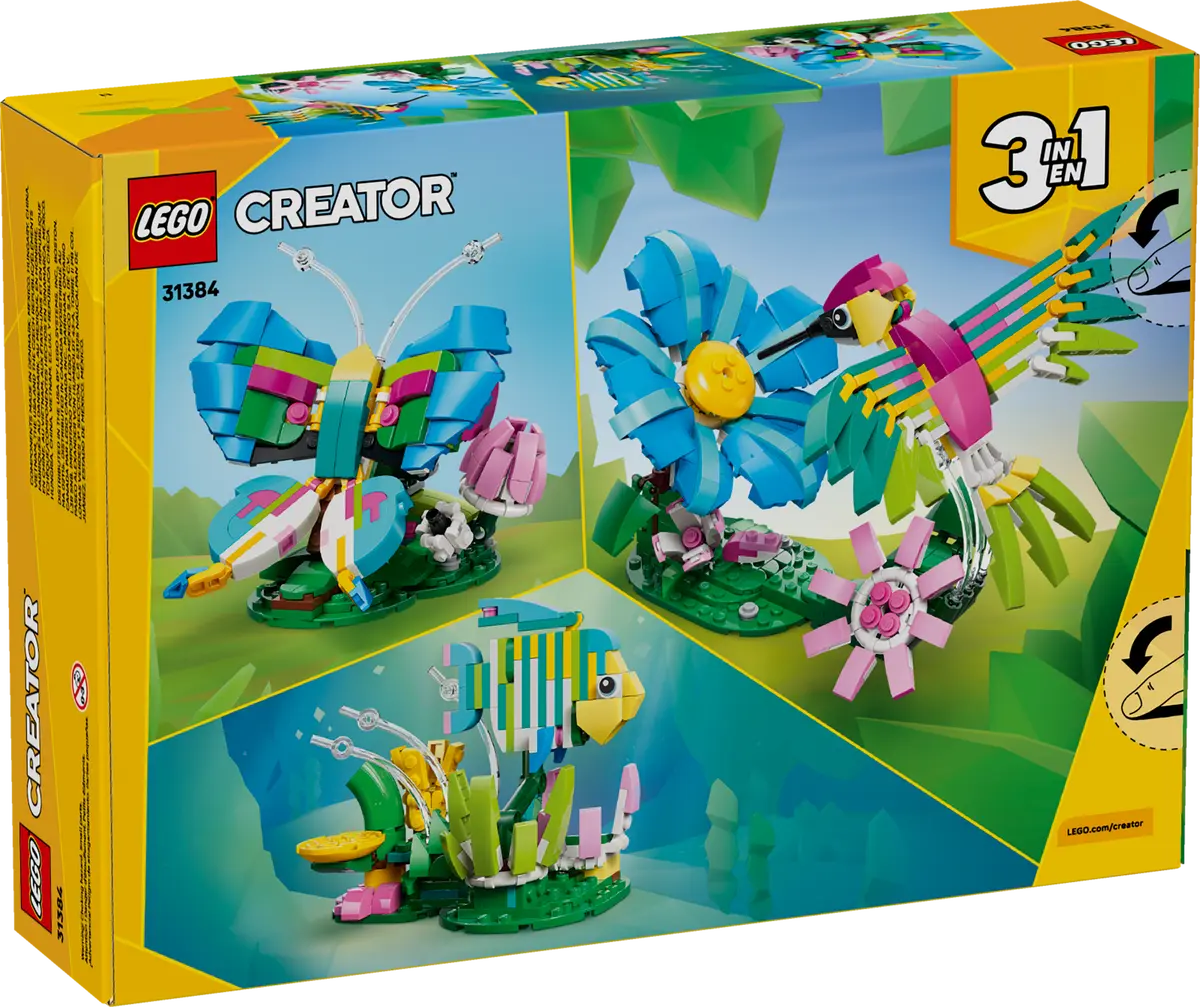 31384 - Colourful Hummingbird