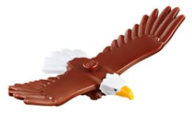 Eagle01 - Eagle with Yellow Beak, White Head and Tail Feathers Pattern