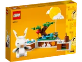 40643 - Jade Rabbit
