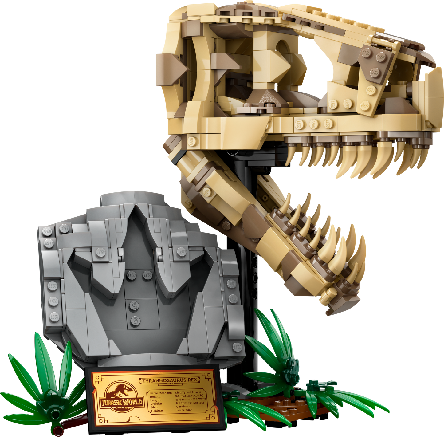 76964 - Dinosaur Fossils: T. rex Skull