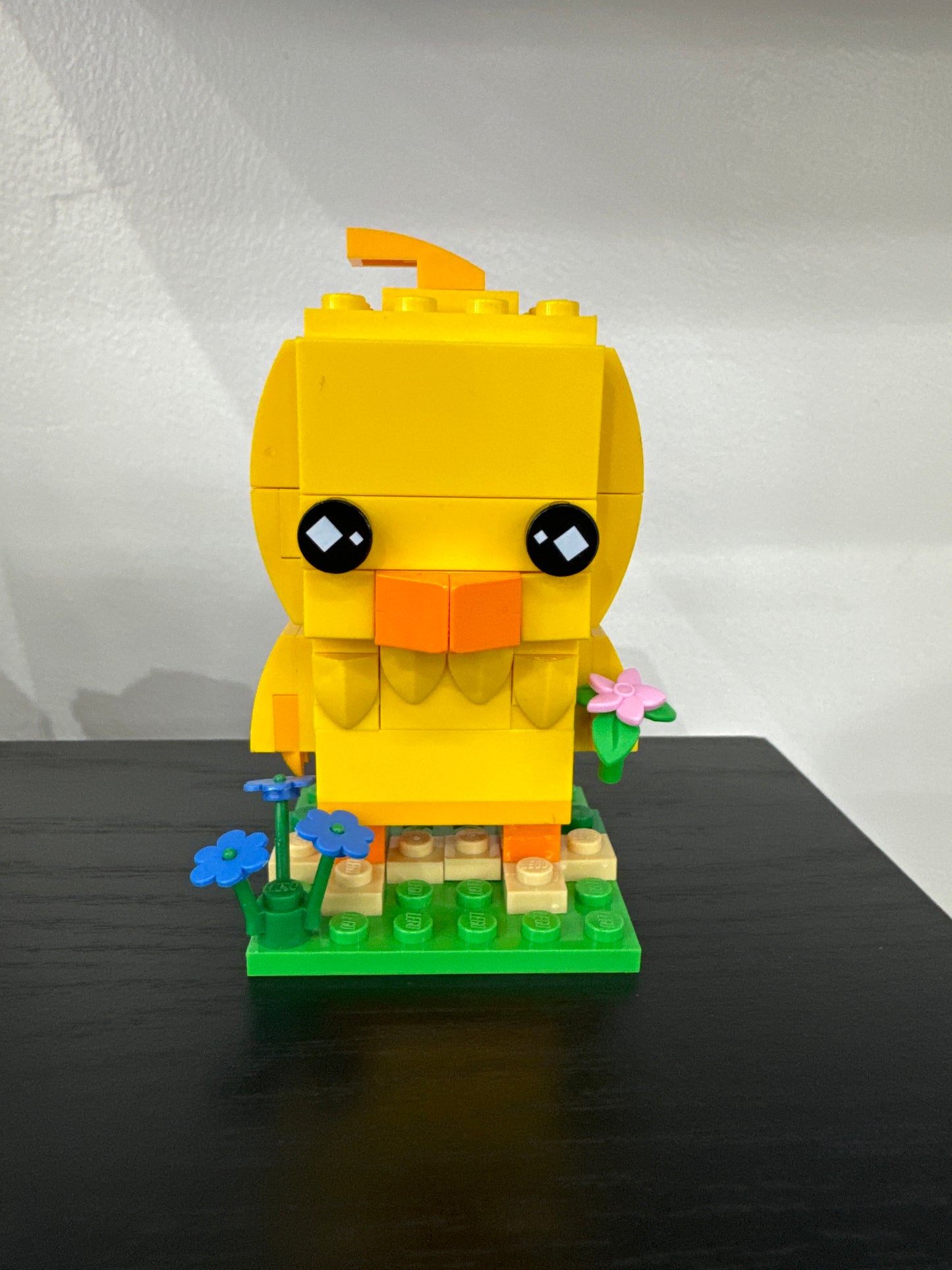 u40350 - Chick