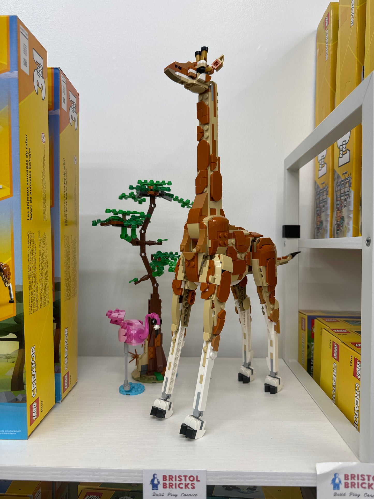 u31150 - Wild Safari Animals