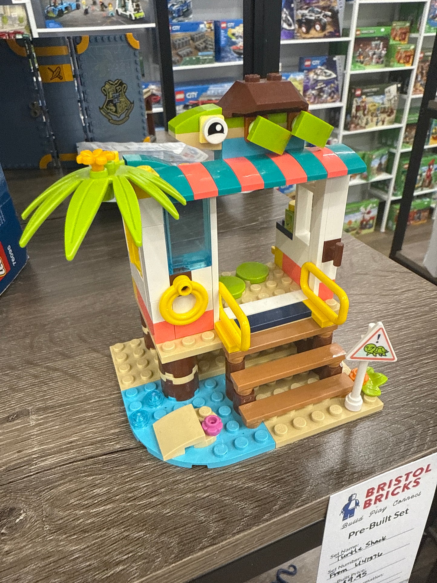 U41376 - Turtle Rescue Mission