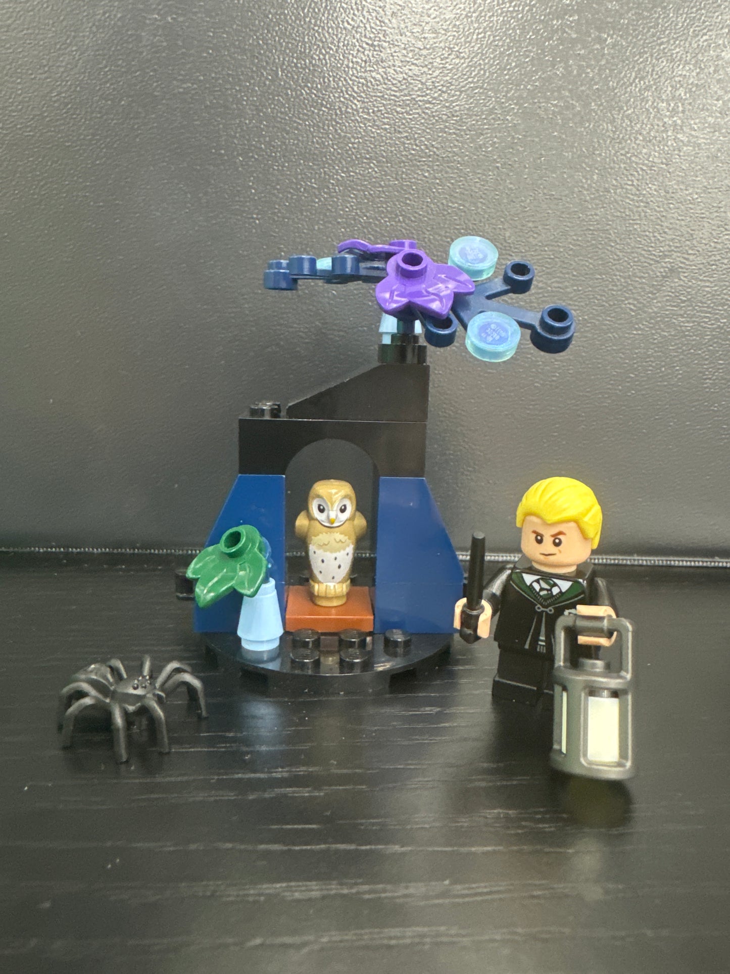 u30677 - Draco in the Forbidden Forest