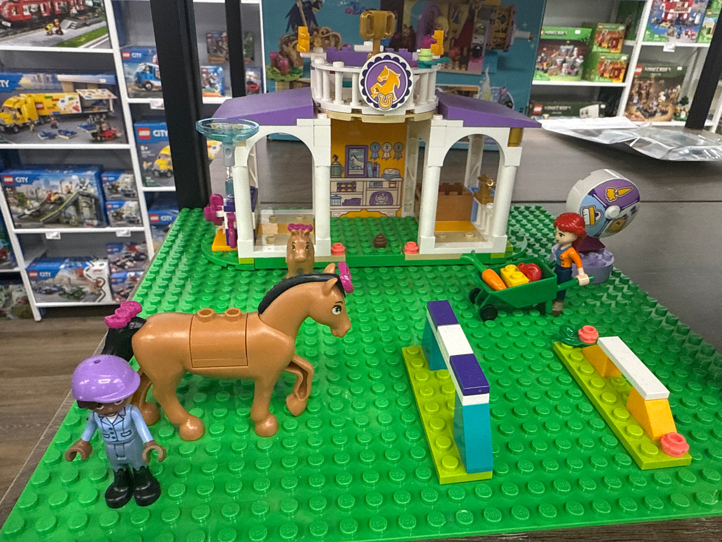 U41746 - Horse Training