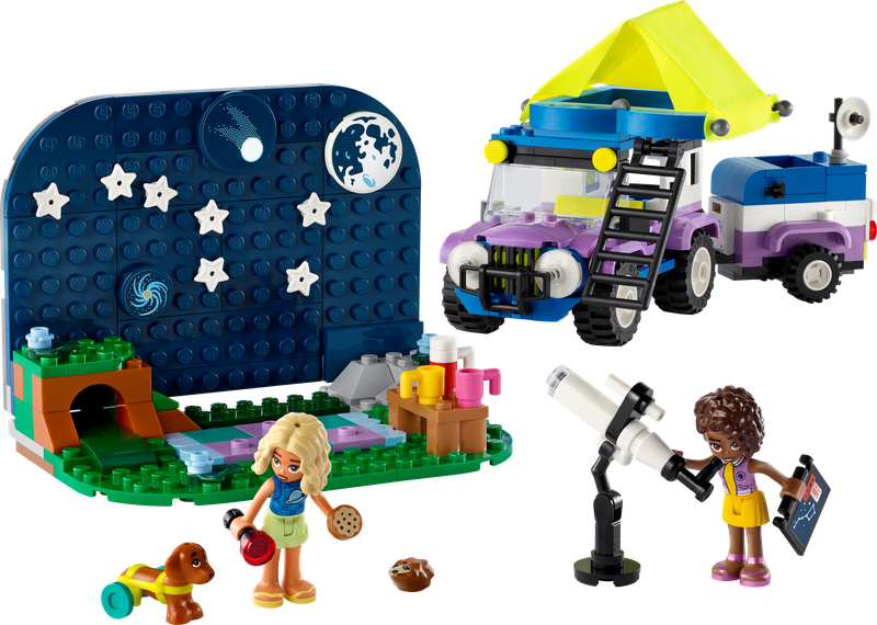 42603 - Stargazing Camping Vehicle