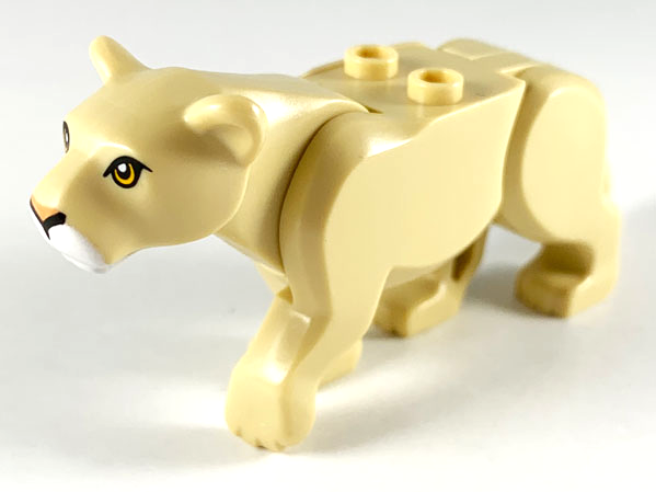 Lioness01 - Cat, Large (Lioness) with Bright Light Orange Eyes, Nougat Nose, White Muzzle Pattern