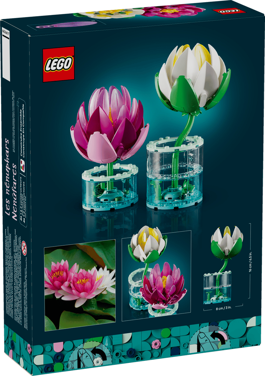 11511 - Water Lilies