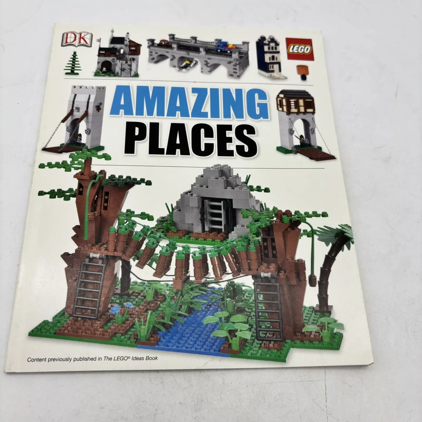 Book - 2013 - Amazing Places