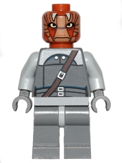 sw0496 - Nikto Guard