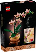 10343 - Mini Orchid
