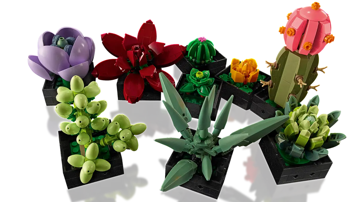 u10309 - Succulents