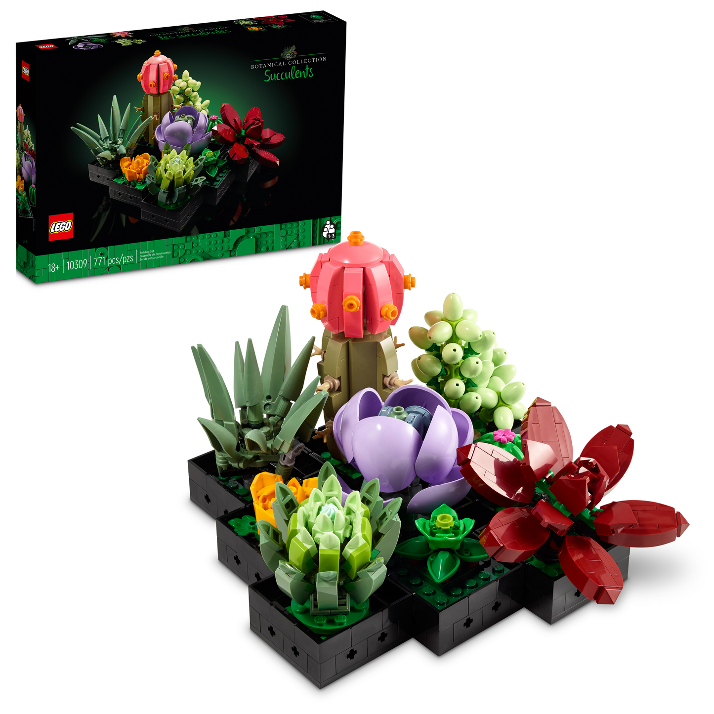u10309 - Succulents