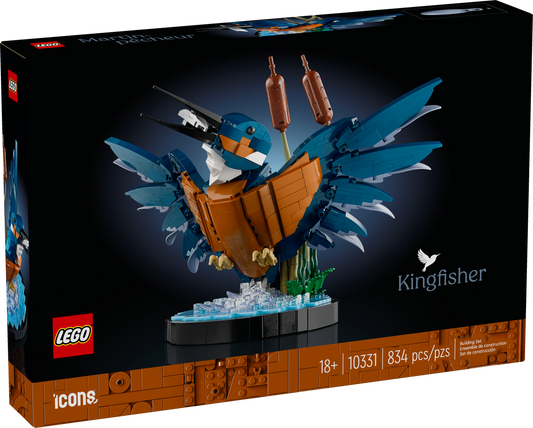 U10331 - Kingfisher Bird