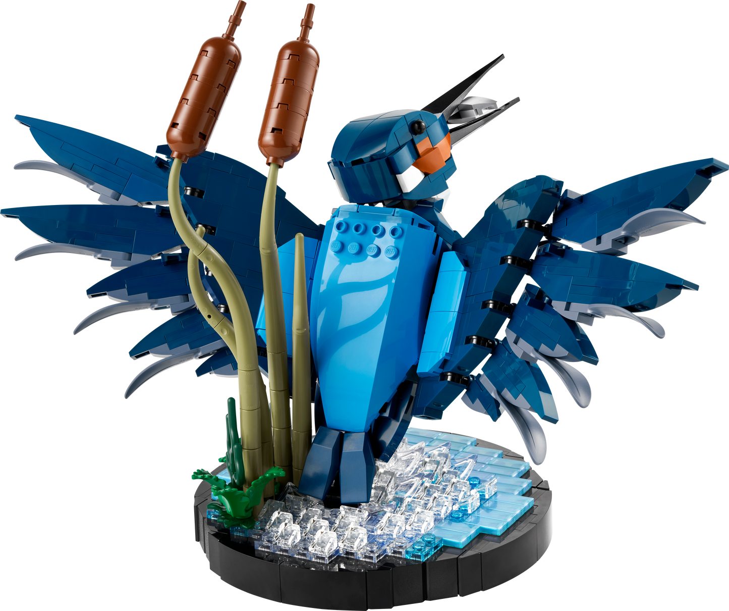 U10331 - Kingfisher Bird