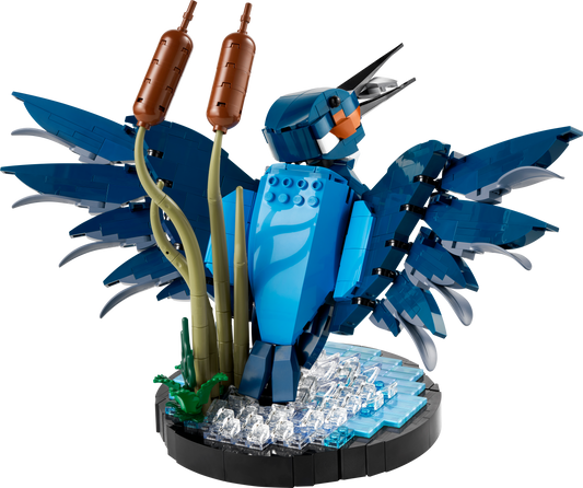 U10331 - Kingfisher Bird