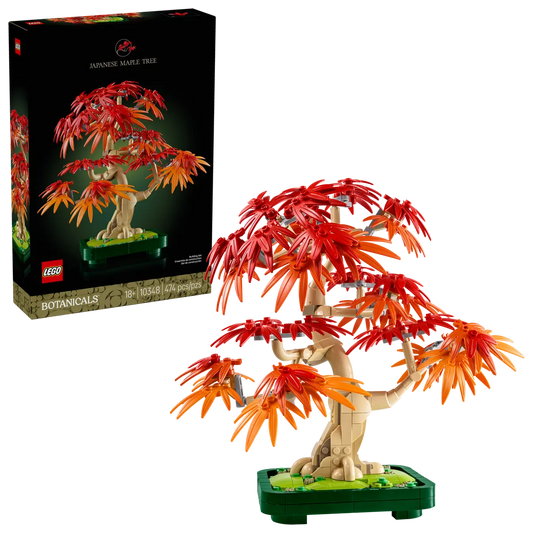 10348 - Japanese Red Maple Bonsai Tree - ND