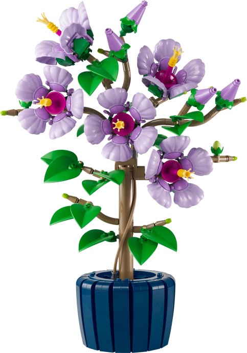 U10372 - Hibiscus