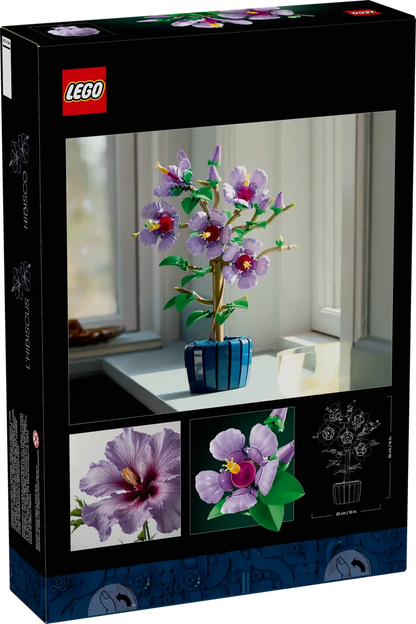 10372 - Hibiscus - ND