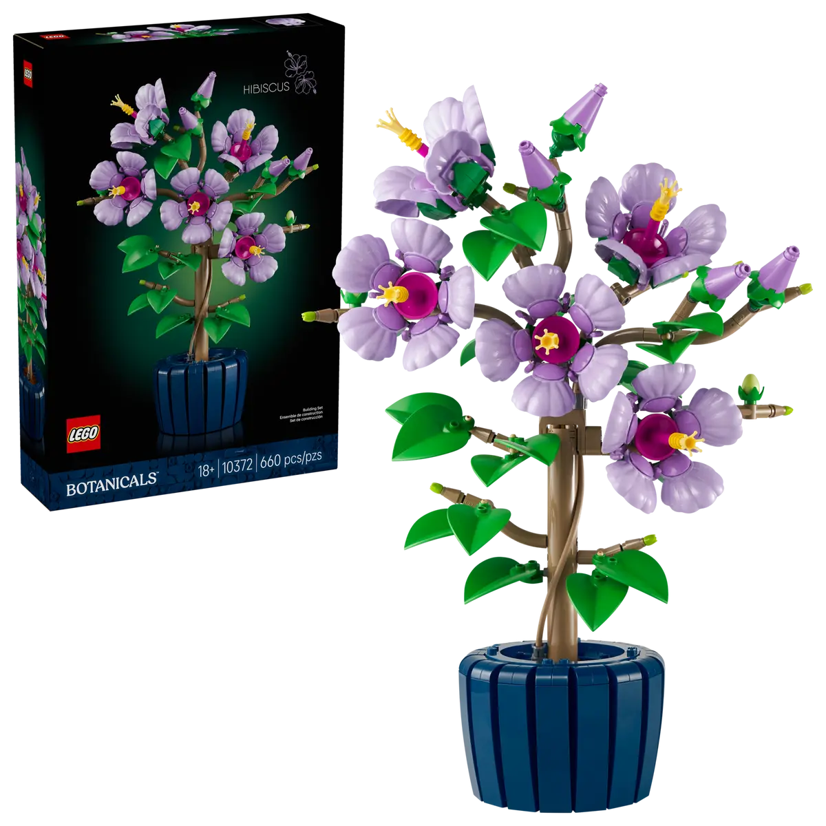 10372 - Hibiscus - ND