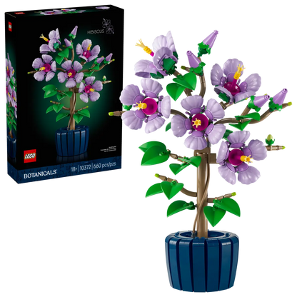 10372 - Hibiscus - ND