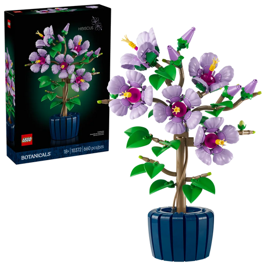 10372 - Hibiscus - ND