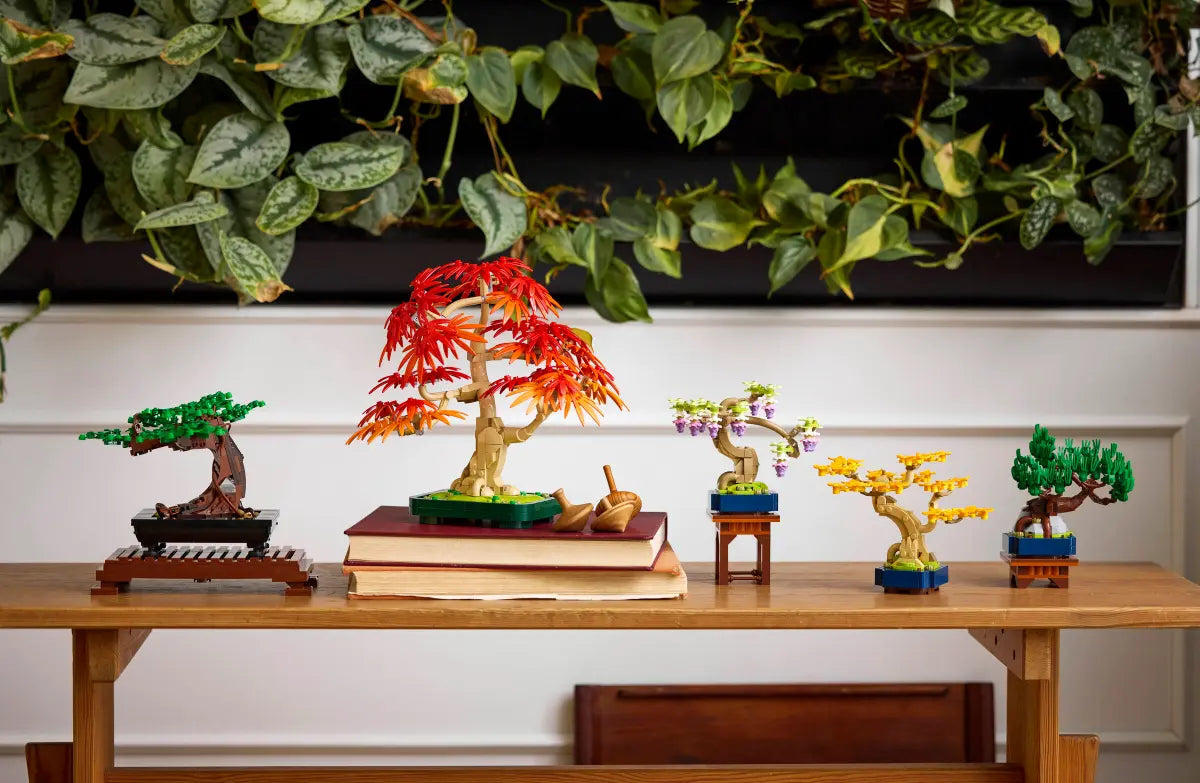 10373 - Mini Bonsai Trees - ND