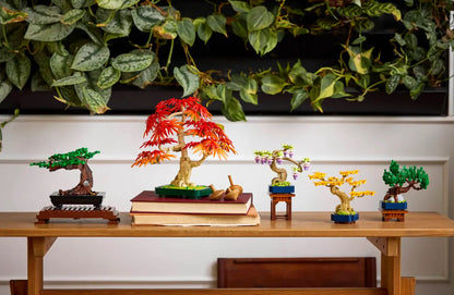 10373 - Mini Bonsai Trees - ND