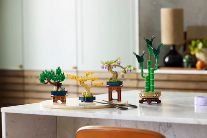 10373 - Mini Bonsai Trees - ND