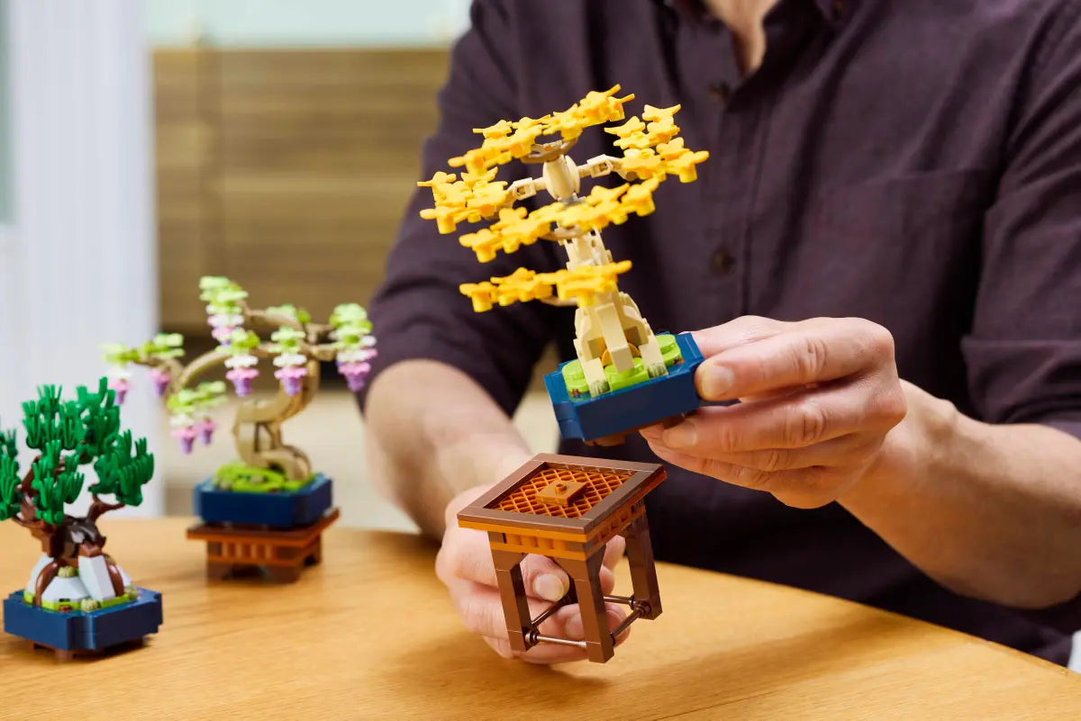 10373 - Mini Bonsai Trees - ND