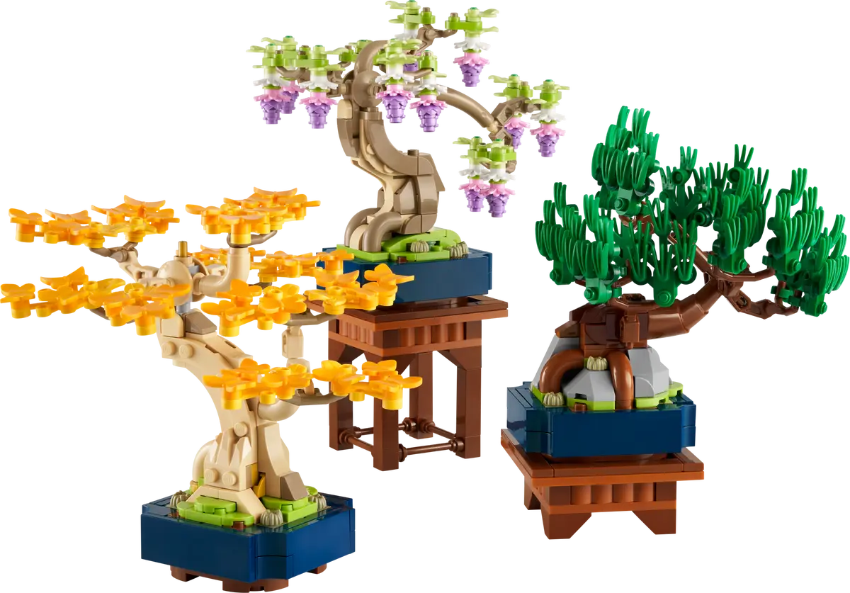 10373 - Mini Bonsai Trees - ND
