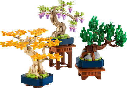 10373 - Mini Bonsai Trees - ND