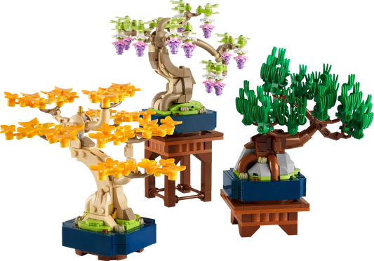 10373 - Mini Bonsai Trees - ND