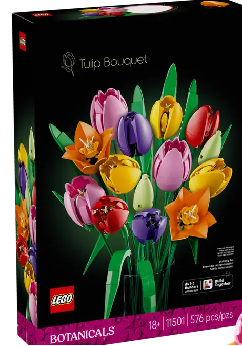 11501 - Tulip Bouquet