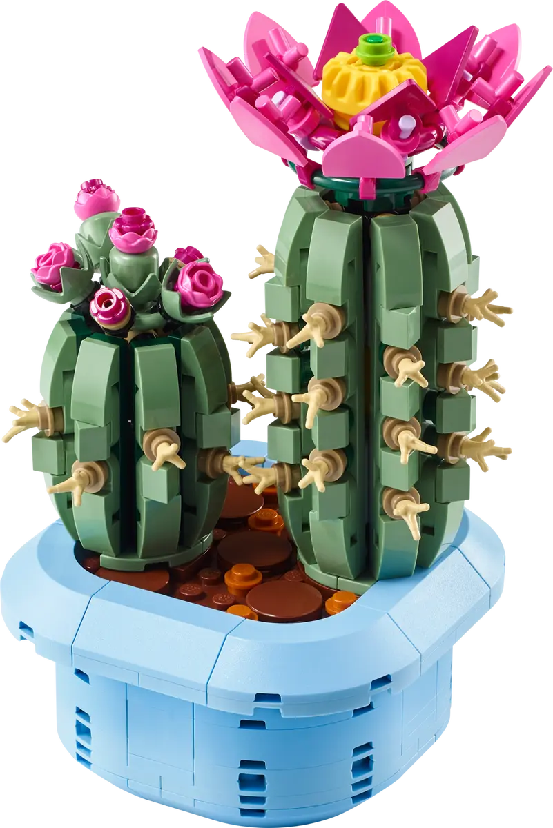 11509 - Flowering Cactus
