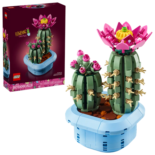 11509 - Flowering Cactus